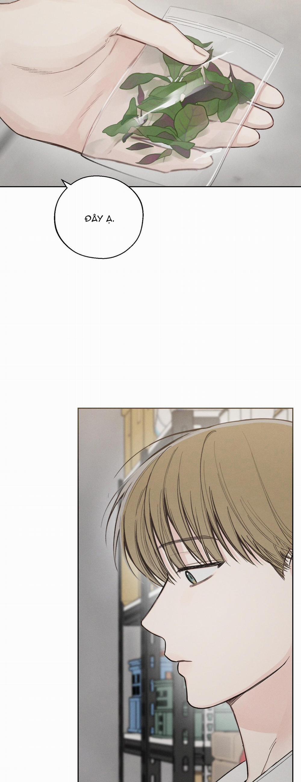 December 26 trang 20