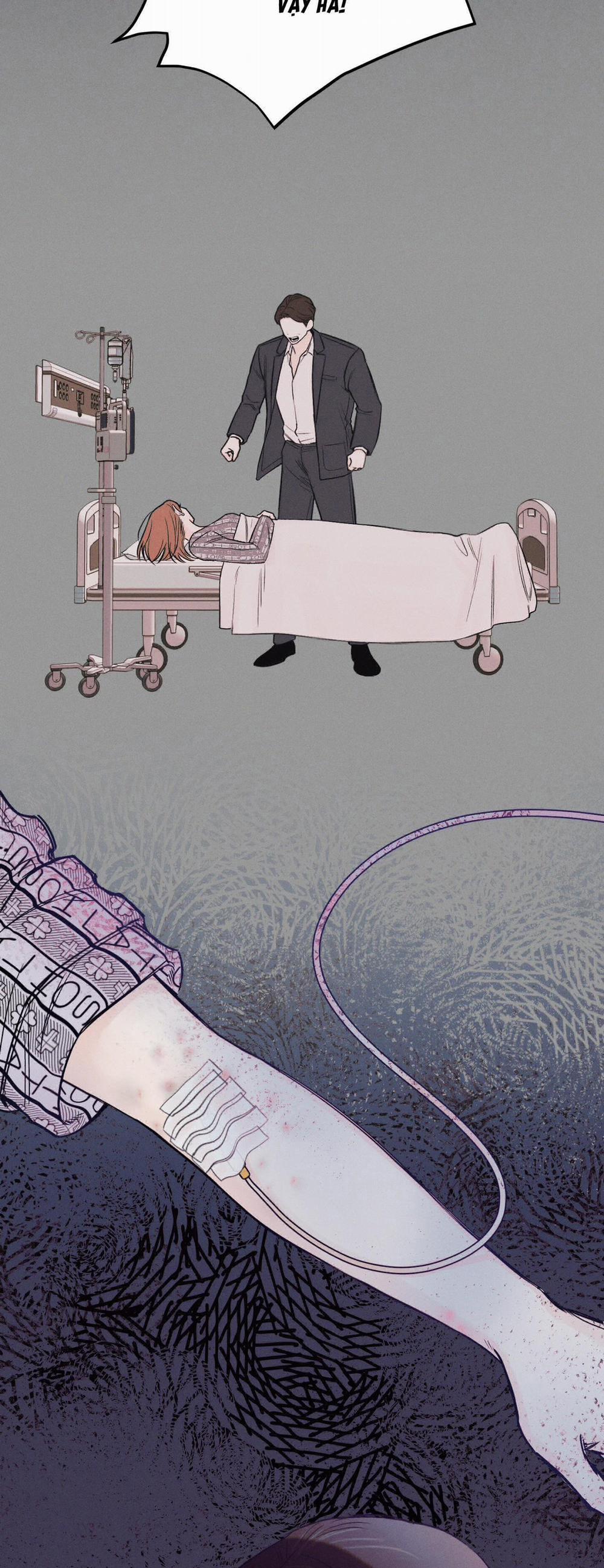 December 31 trang 14