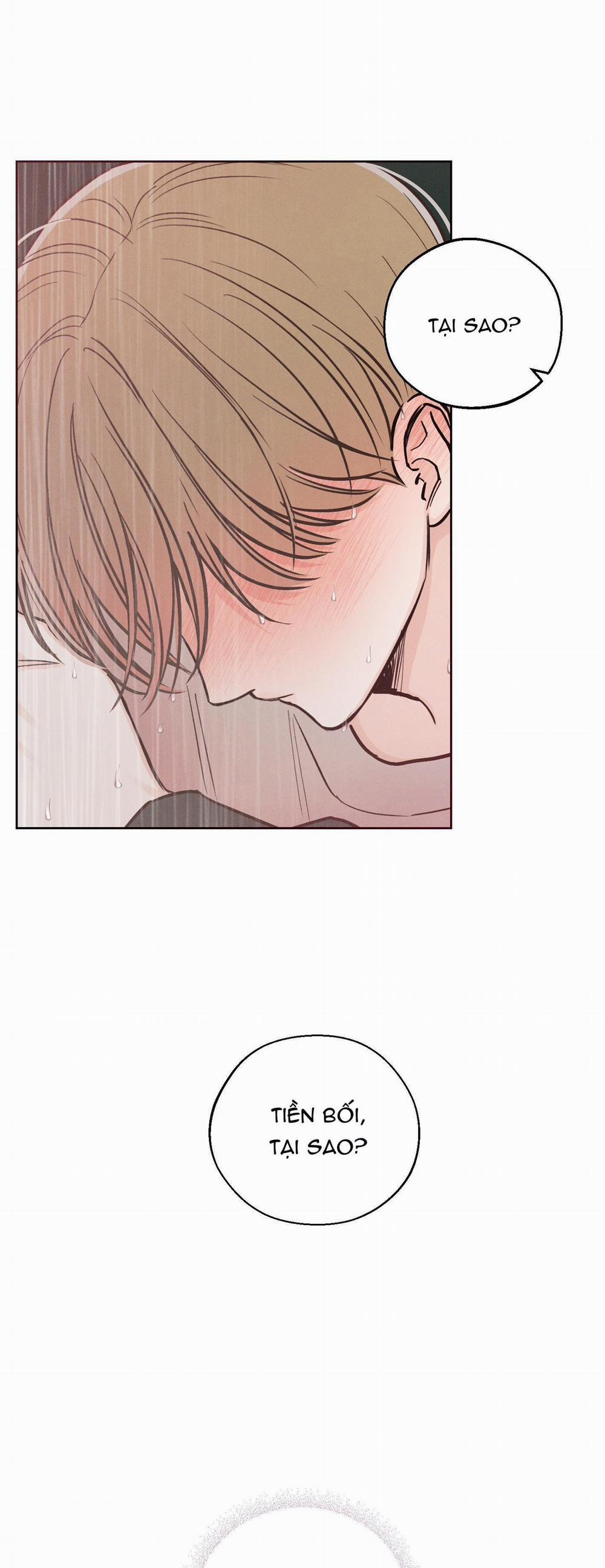 December 36 trang 26