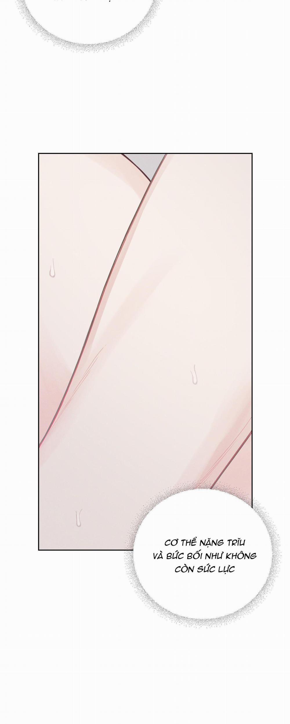 December 38 trang 37