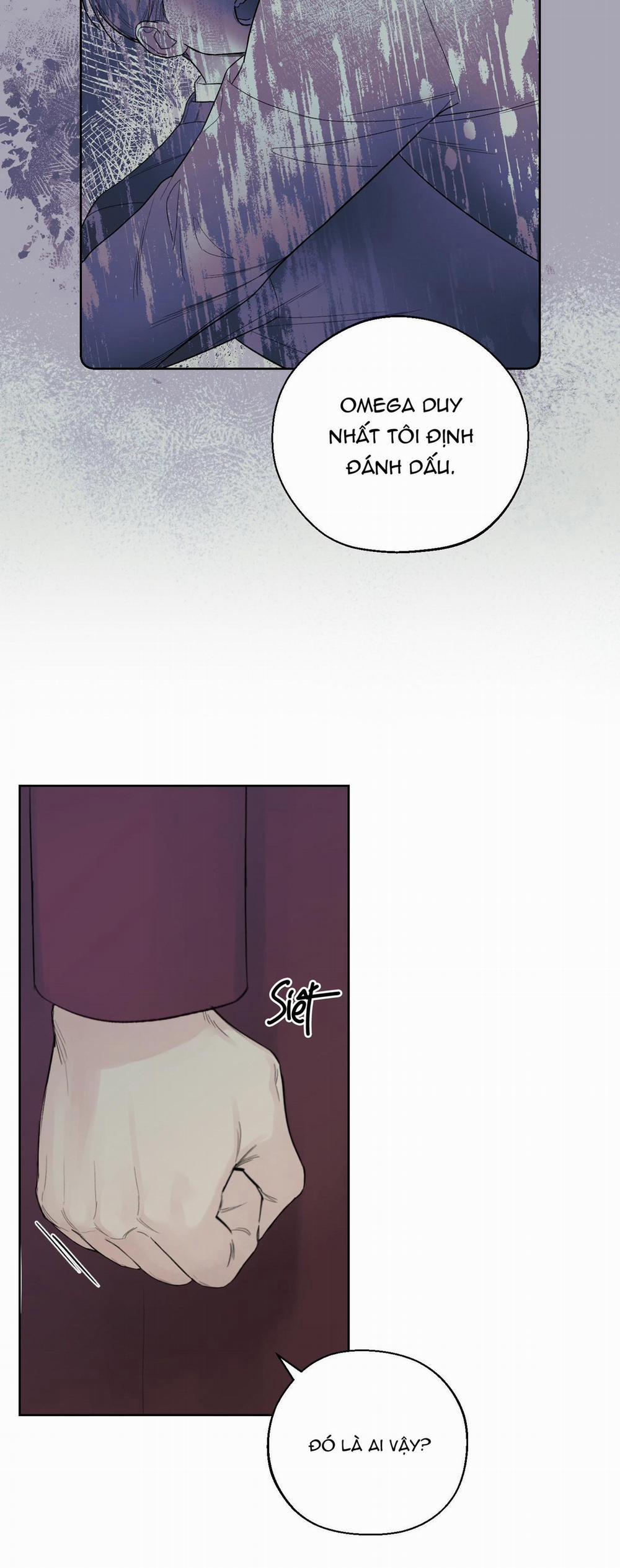 December 40 trang 11