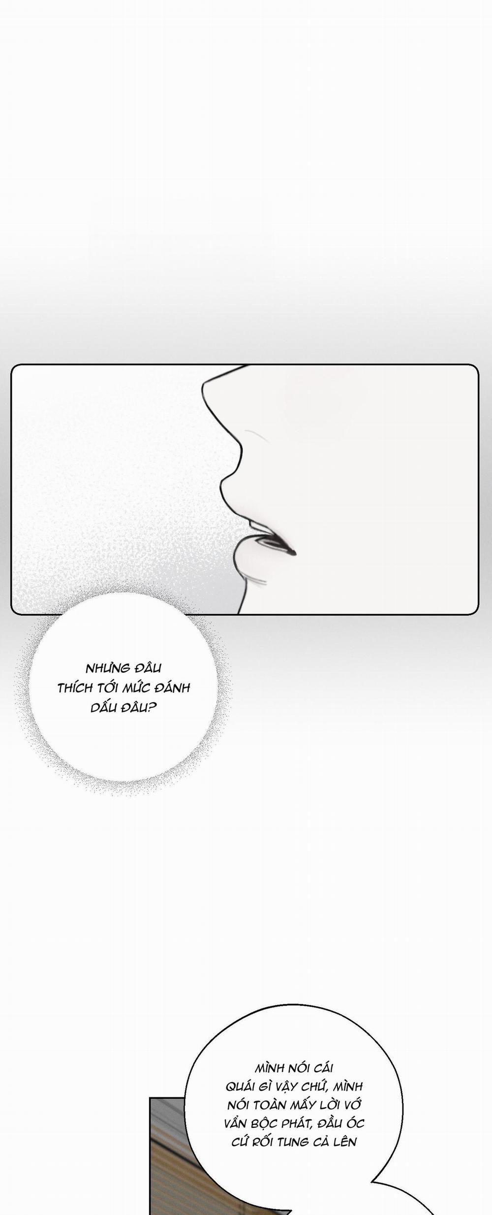 December 41 trang 40