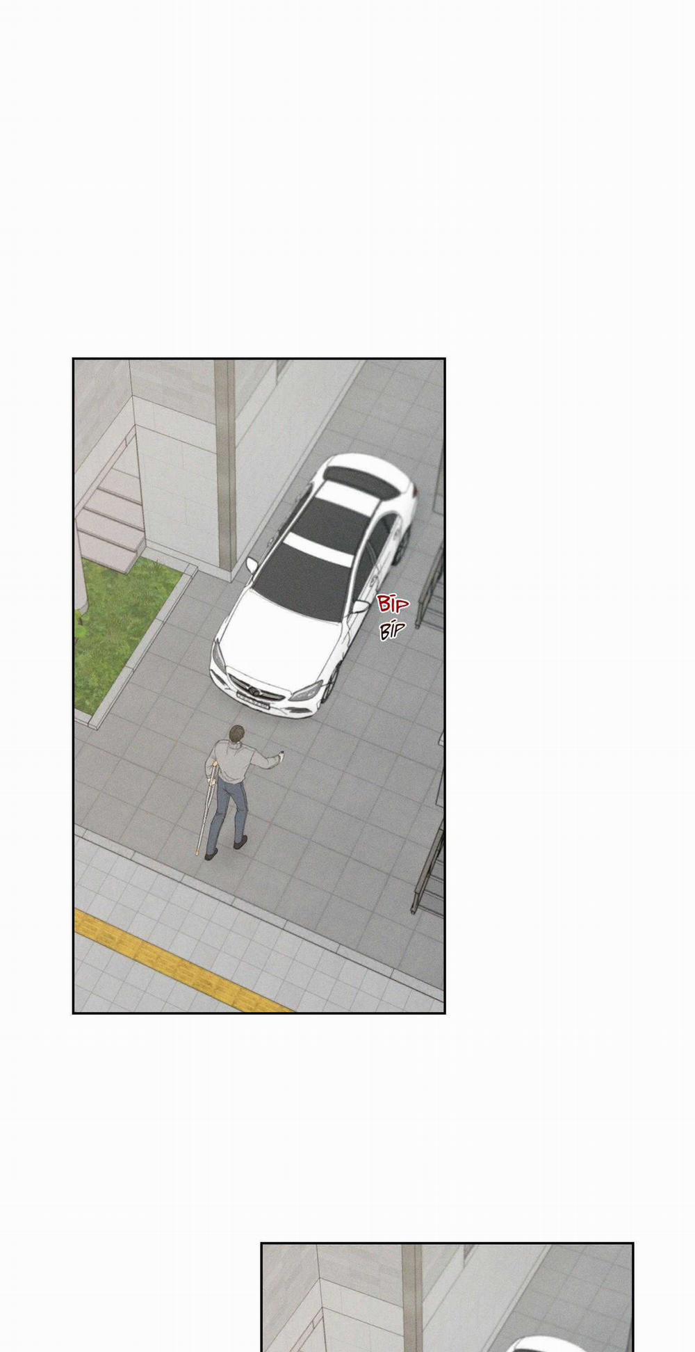 December 50 trang 17