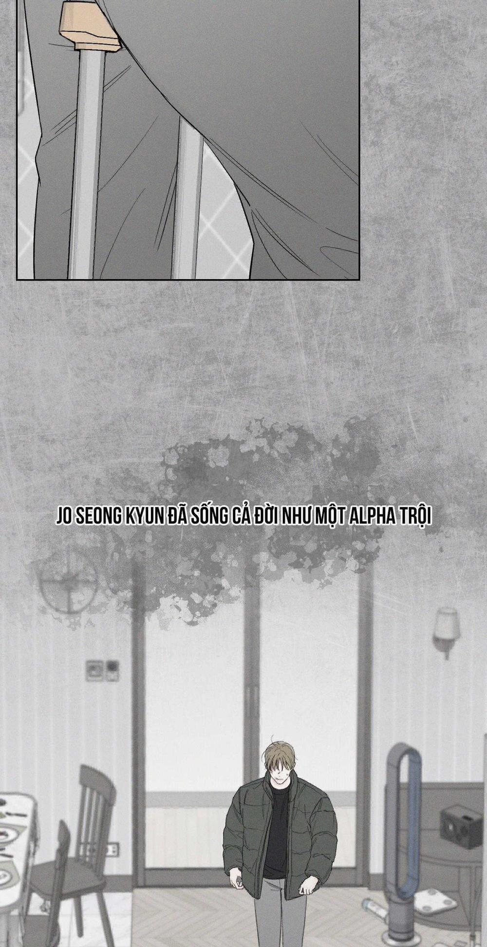 December 50 trang 22