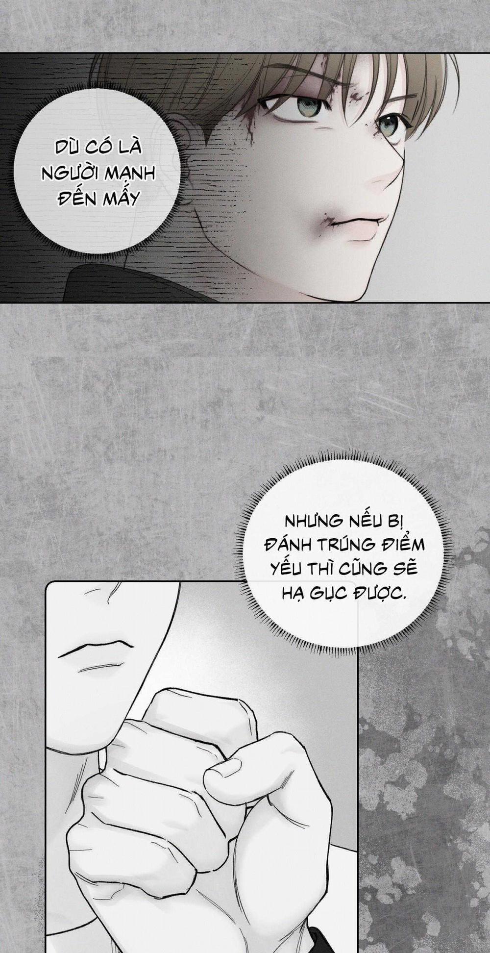 December 50 trang 24