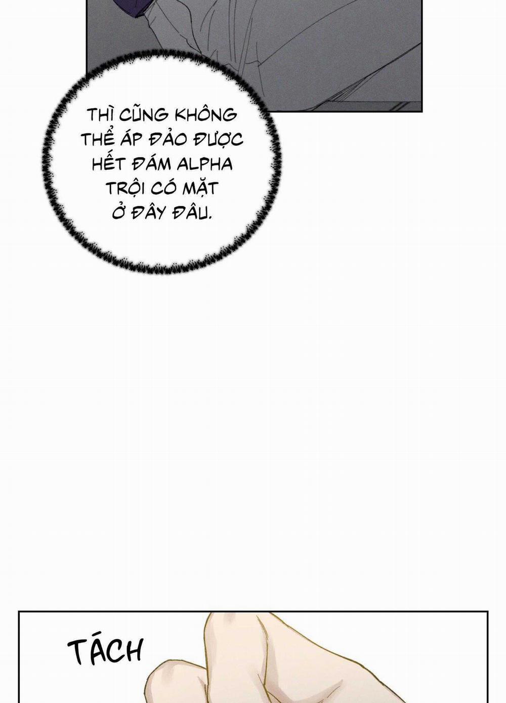 December 53 trang 16