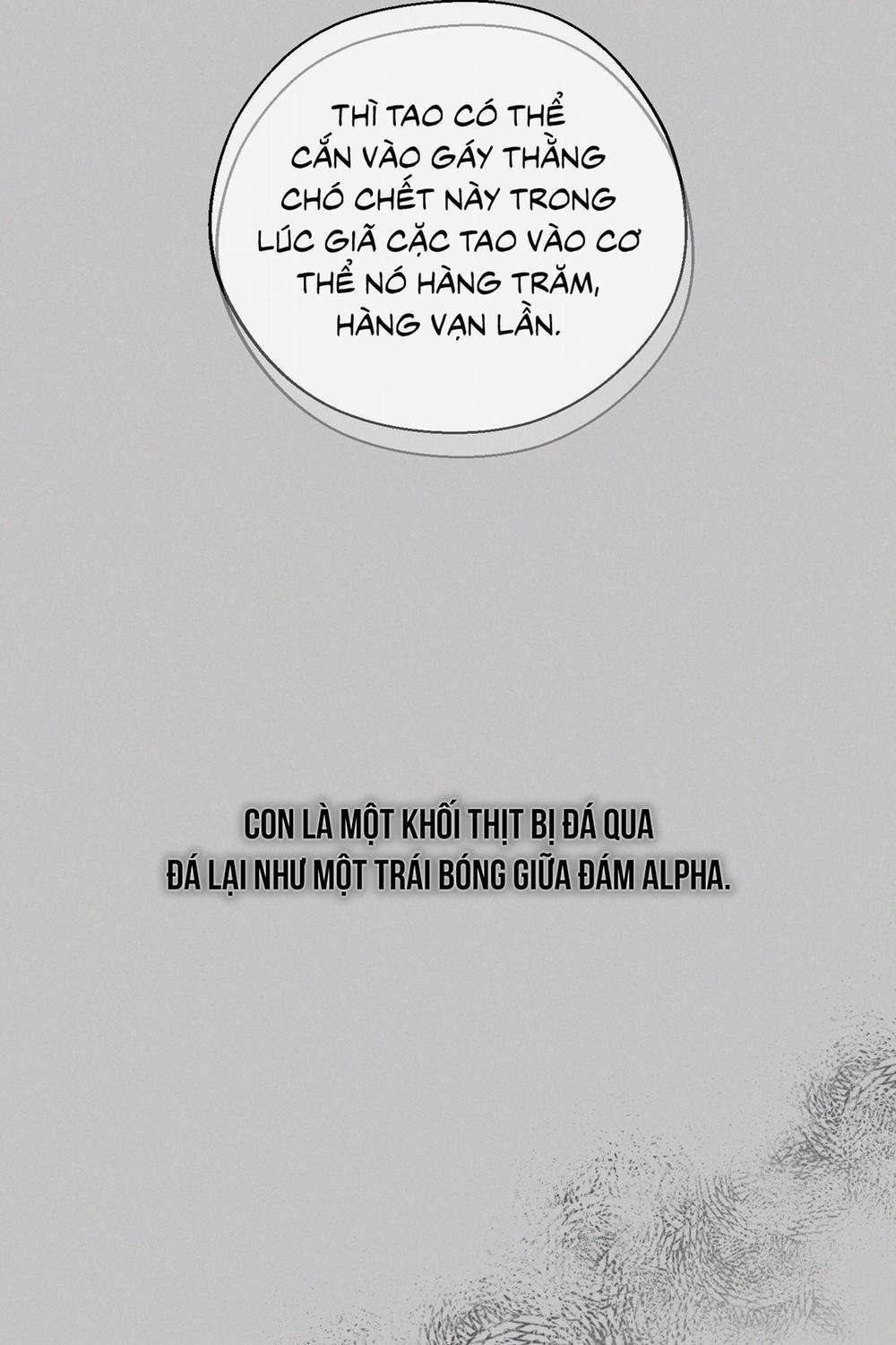 December 55 trang 44