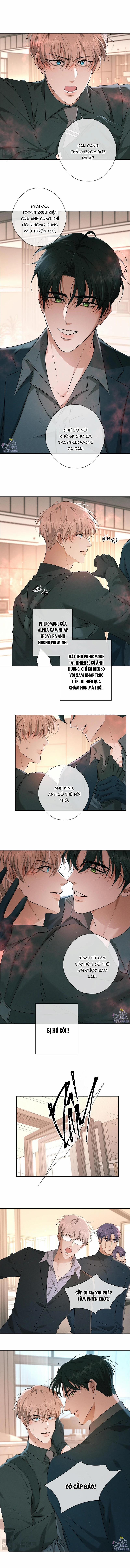 Đêm Cuồng Say 10 trang 7