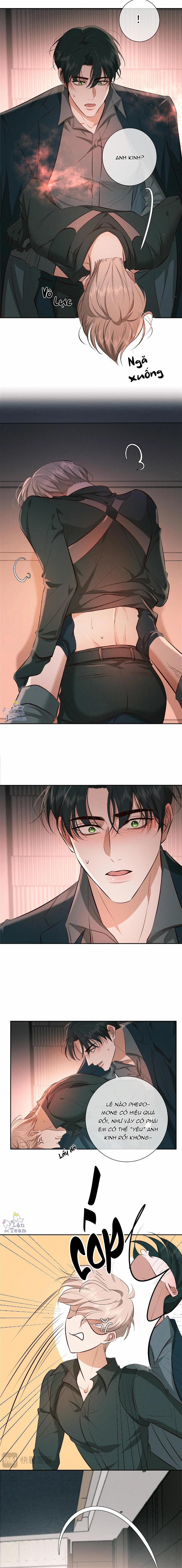 Đêm Cuồng Say 11 trang 11