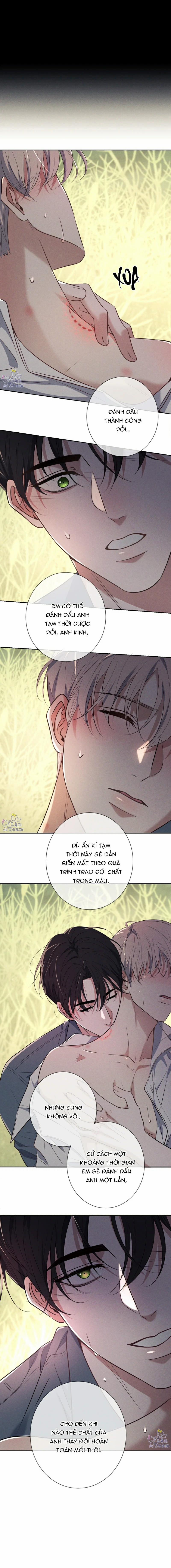 Đêm Cuồng Say 17 trang 9