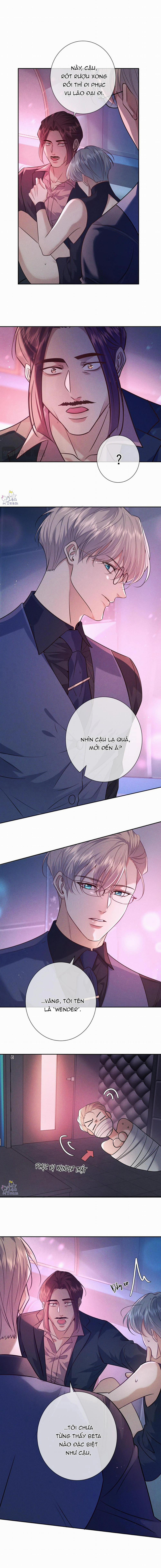 Đêm Cuồng Say 19 trang 5