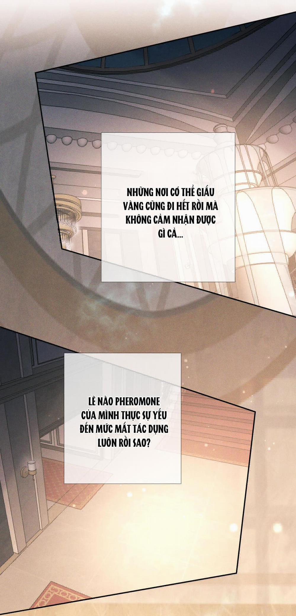 Đêm Cuồng Say 20 trang 48