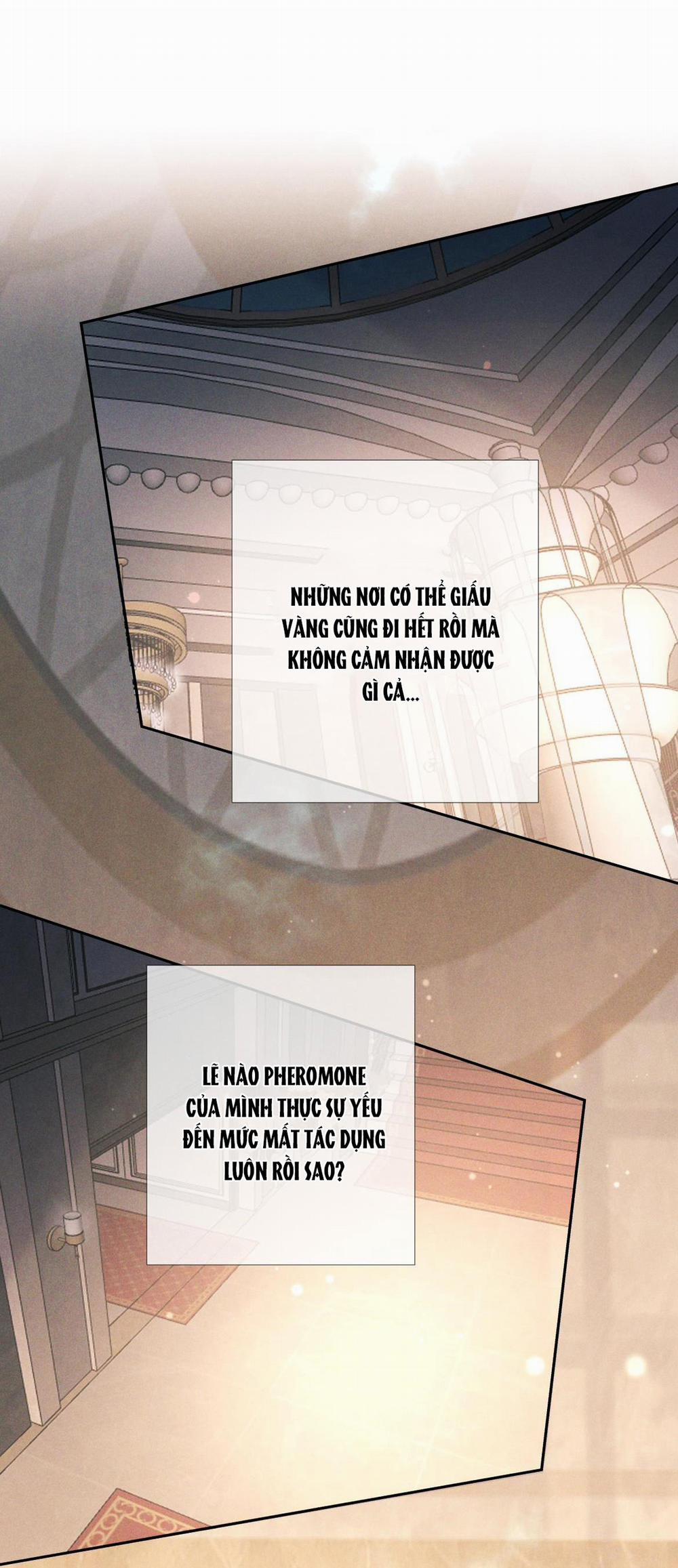 Đêm Cuồng Say 21 trang 3