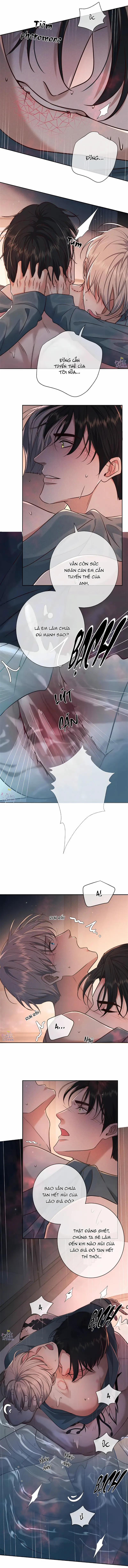 Đêm Cuồng Say 24 trang 8