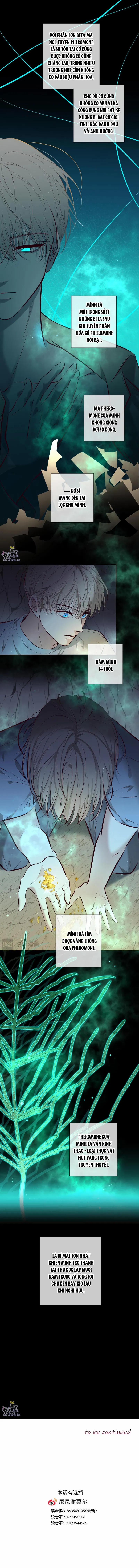 Đêm Cuồng Say 3 trang 10