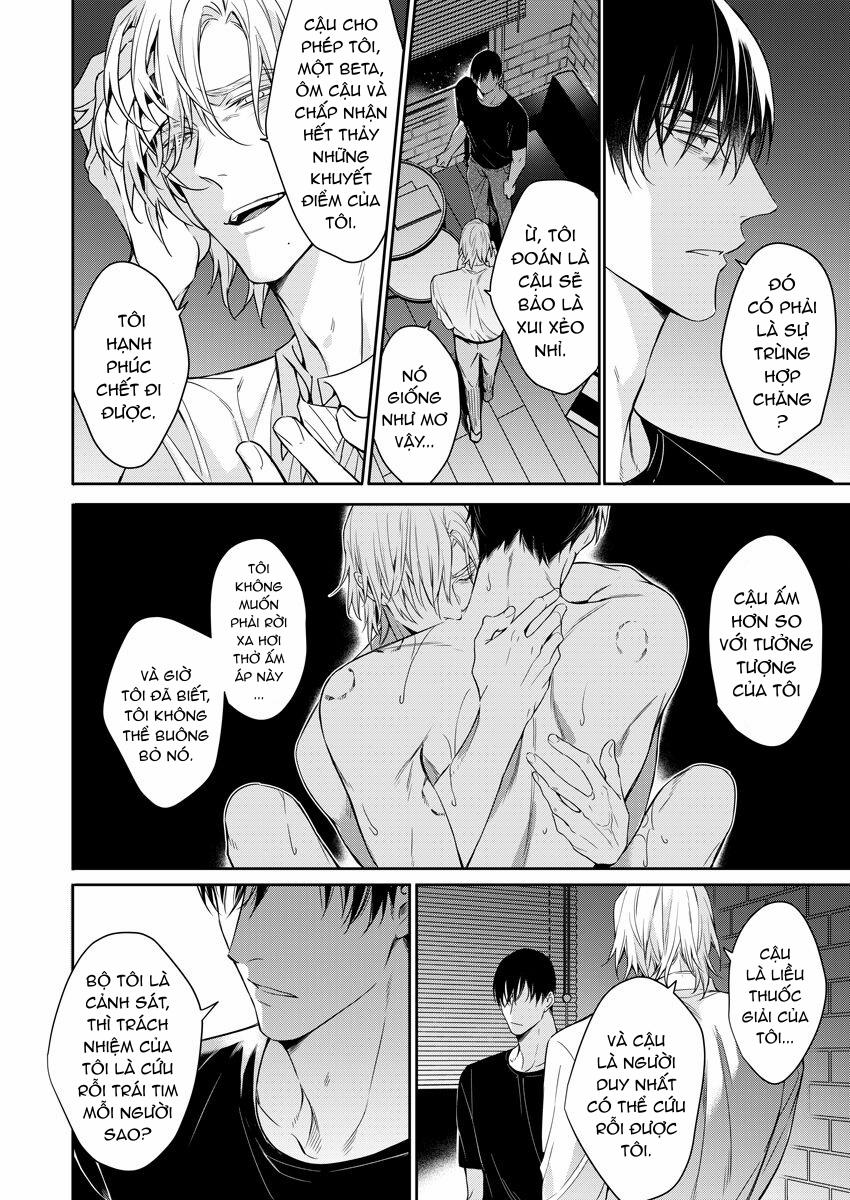 Đêm Điên Cuồng 6 trang 11