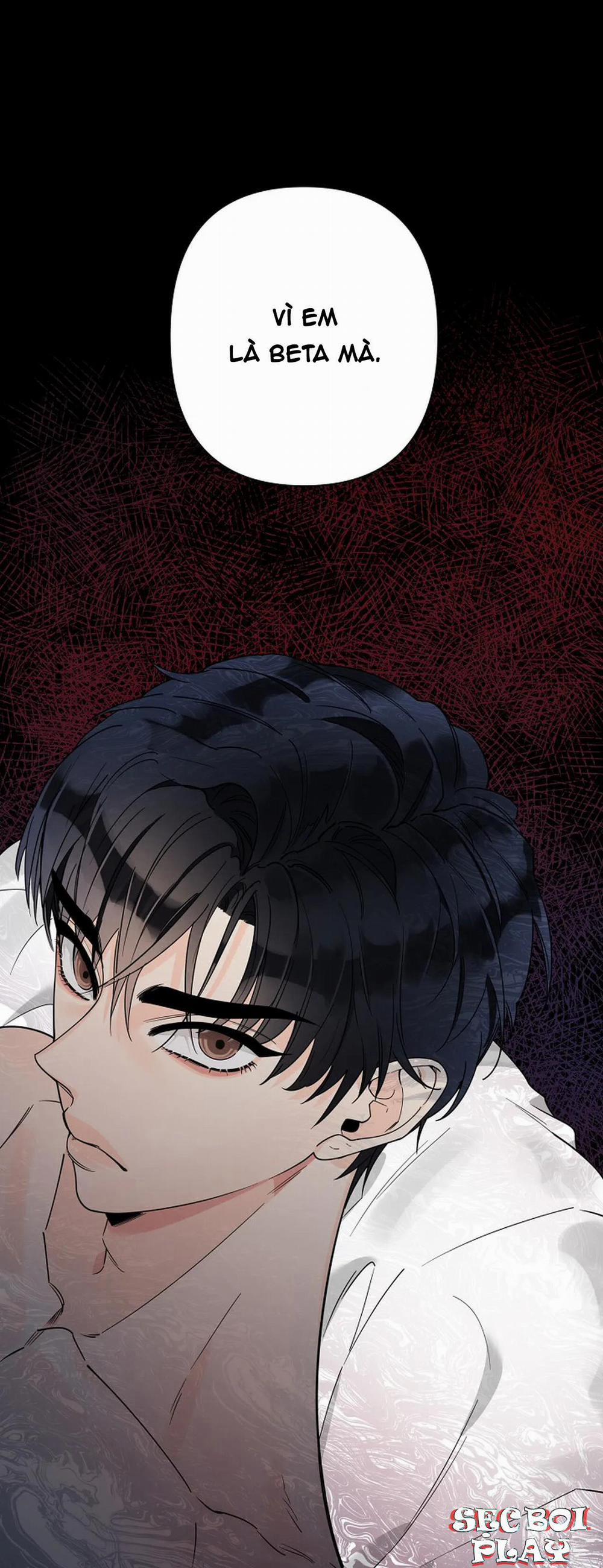 Đêm Dịu Dàng 2 trang 0