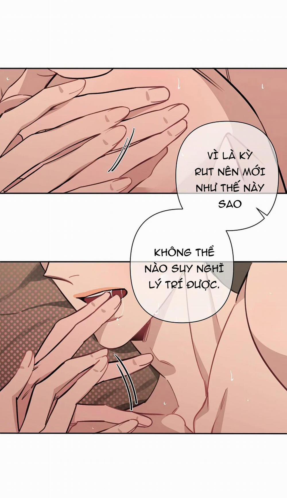 Đêm Dịu Dàng 51 trang 9
