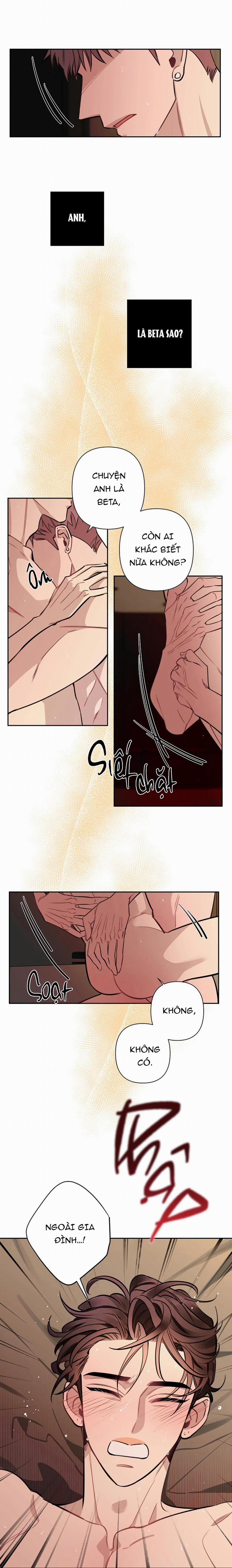 Đêm Dịu Dàng 51 trang 28