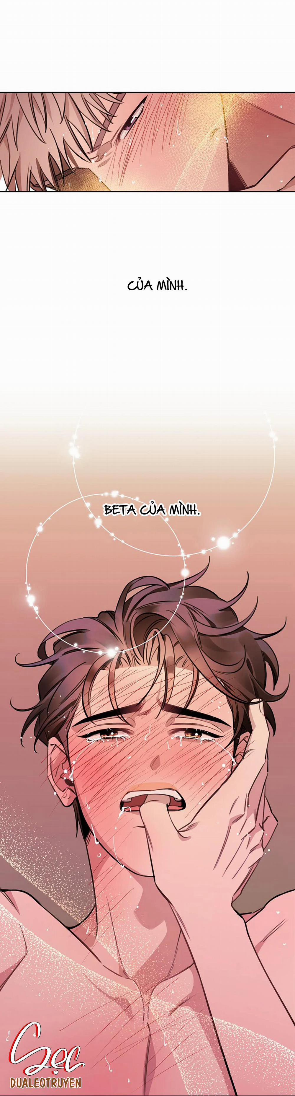 Đêm Dịu Dàng 51 trang 39