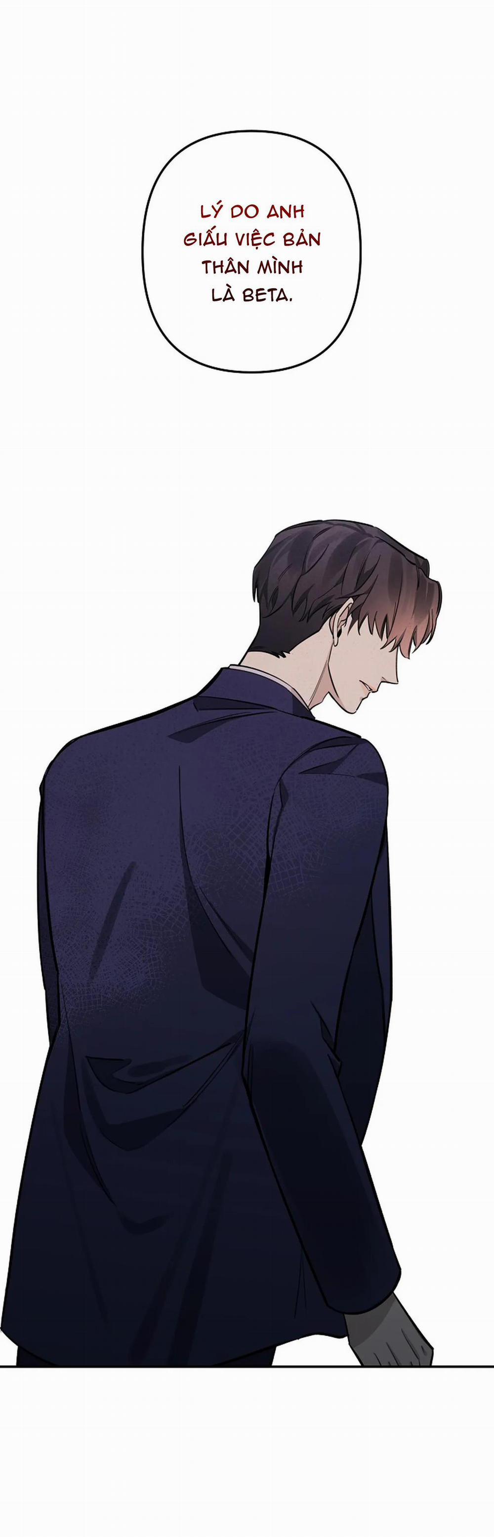 Đêm Dịu Dàng 54 trang 12