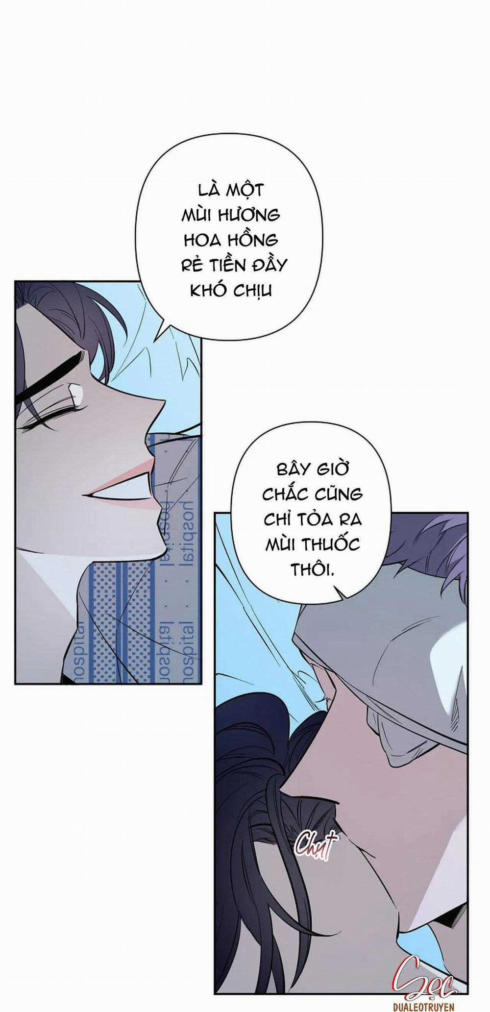Đêm Dịu Dàng 71 trang 12