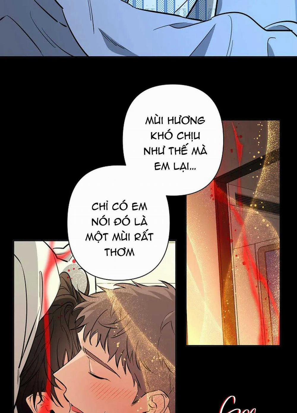 Đêm Dịu Dàng 71 trang 6