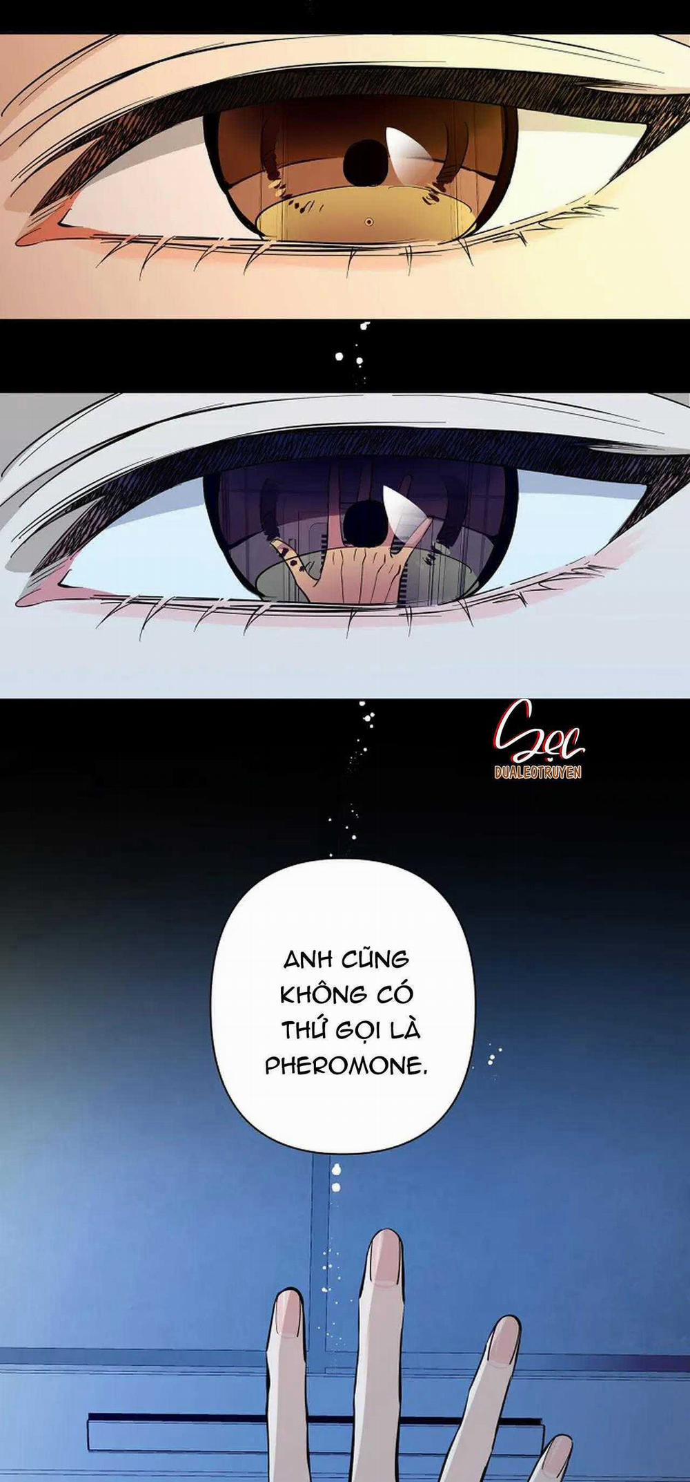 Đêm Dịu Dàng 71 trang 8