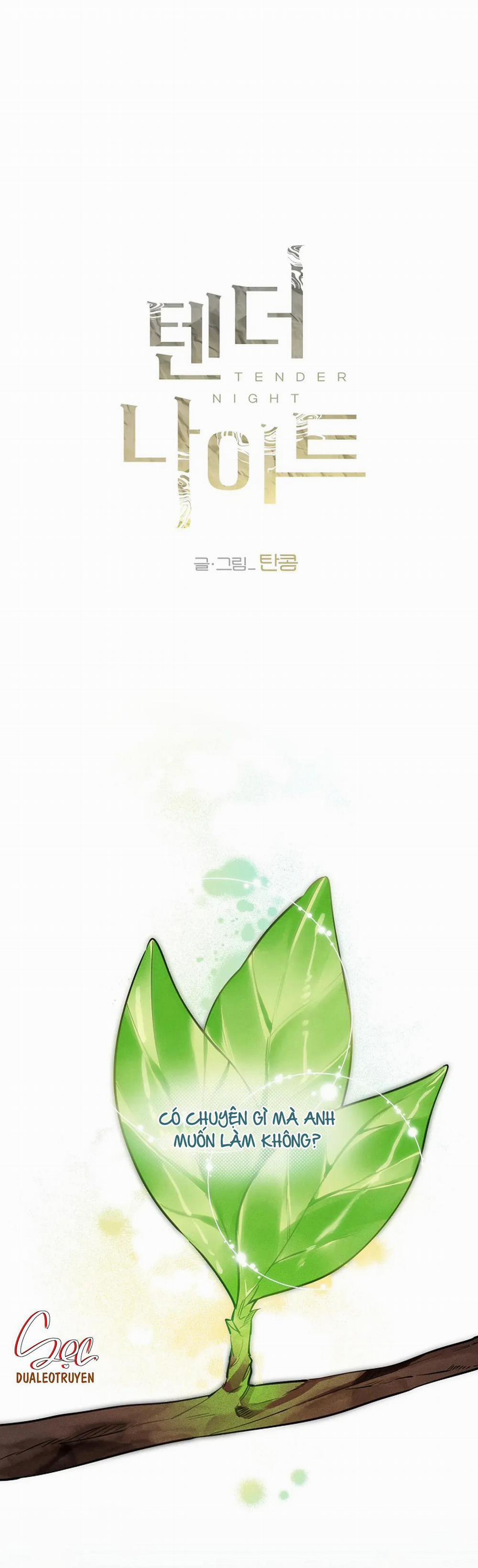 Đêm Dịu Dàng 74 trang 1