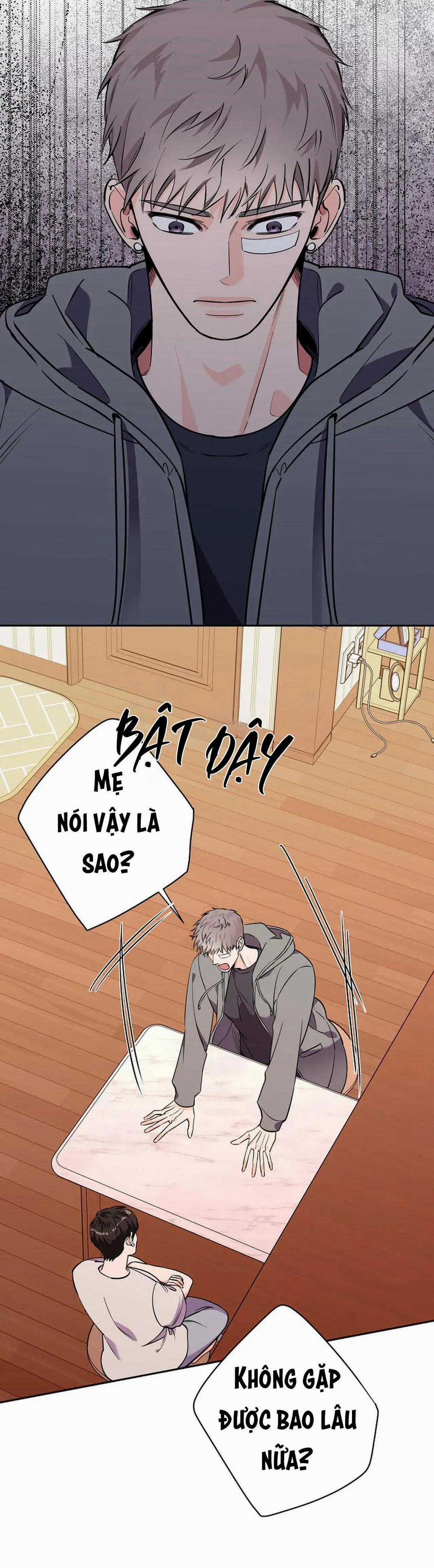 Đêm Dịu Dàng 79 trang 3