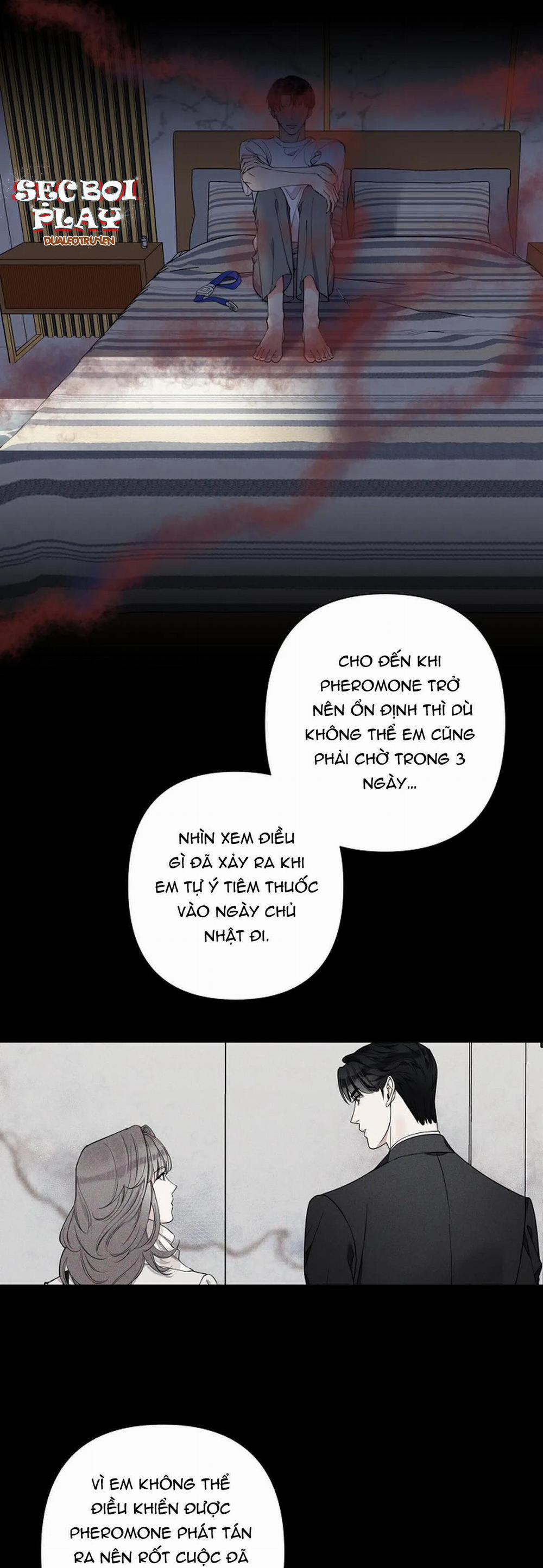 Đêm Dịu Dàng 8 trang 10