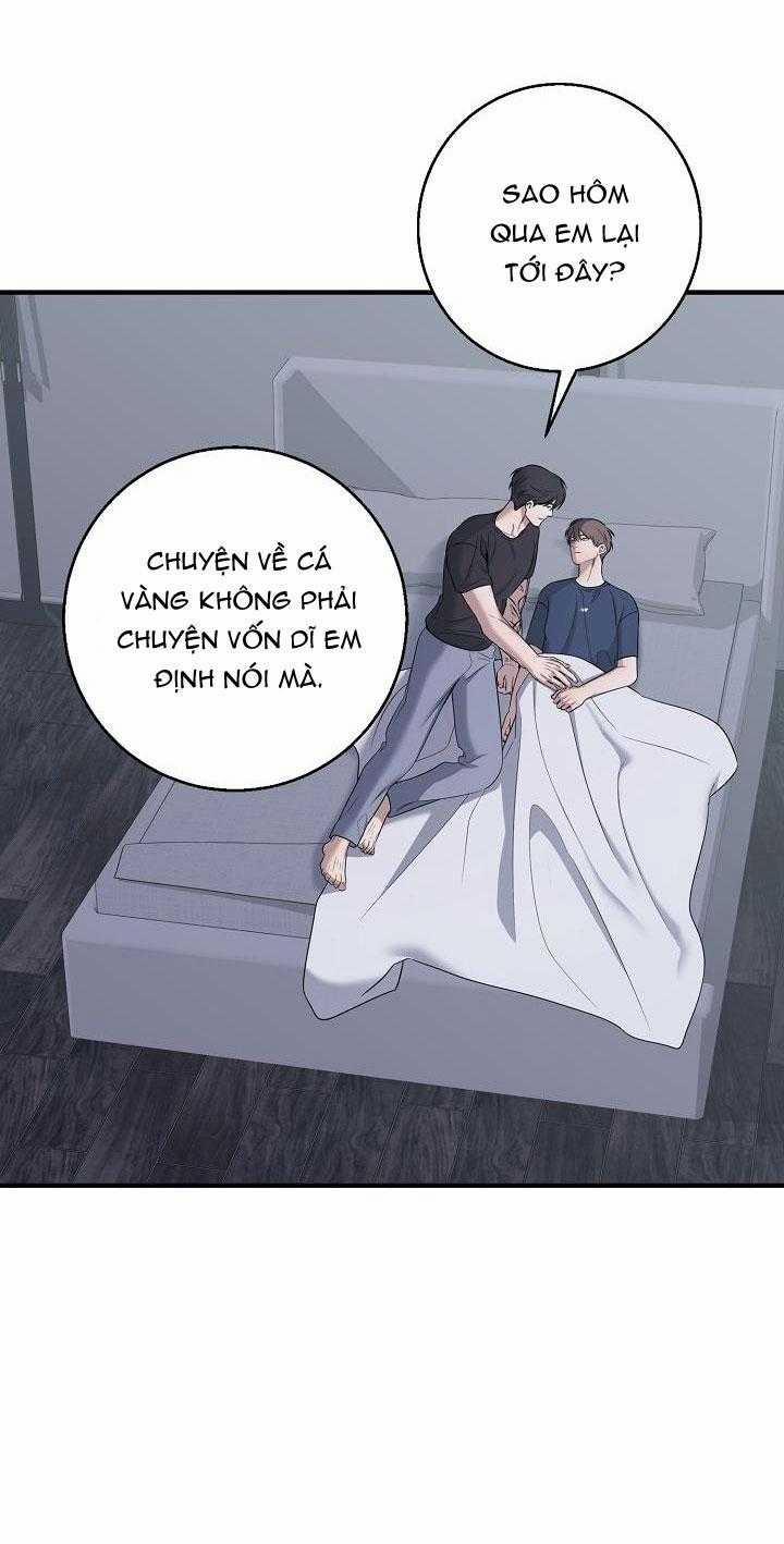 ĐÊM KHÔNG DẤU VẾT 28 trang 39