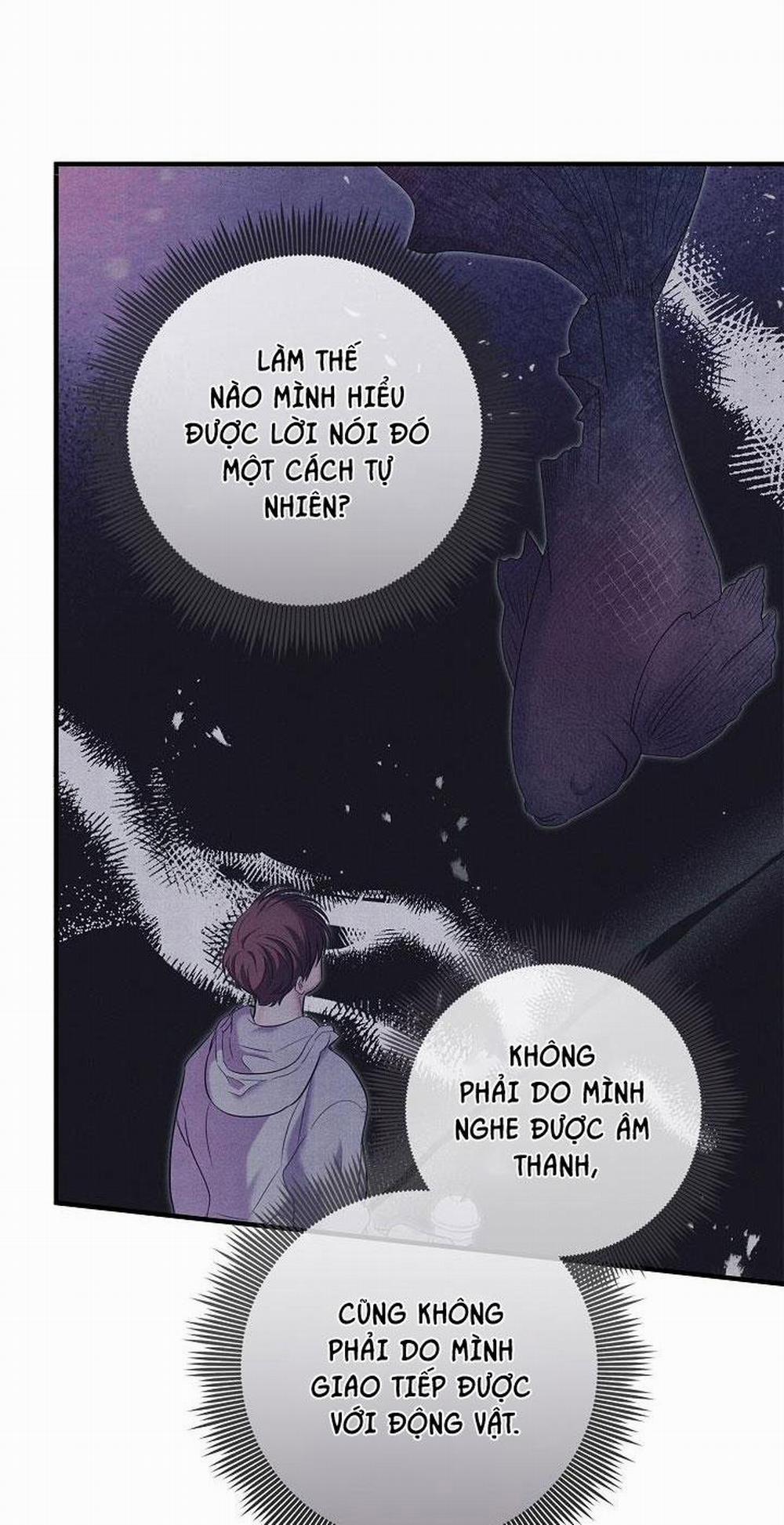 ĐÊM KHÔNG DẤU VẾT 29 trang 21