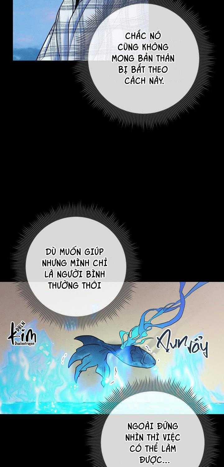 ĐÊM KHÔNG DẤU VẾT 31 trang 24