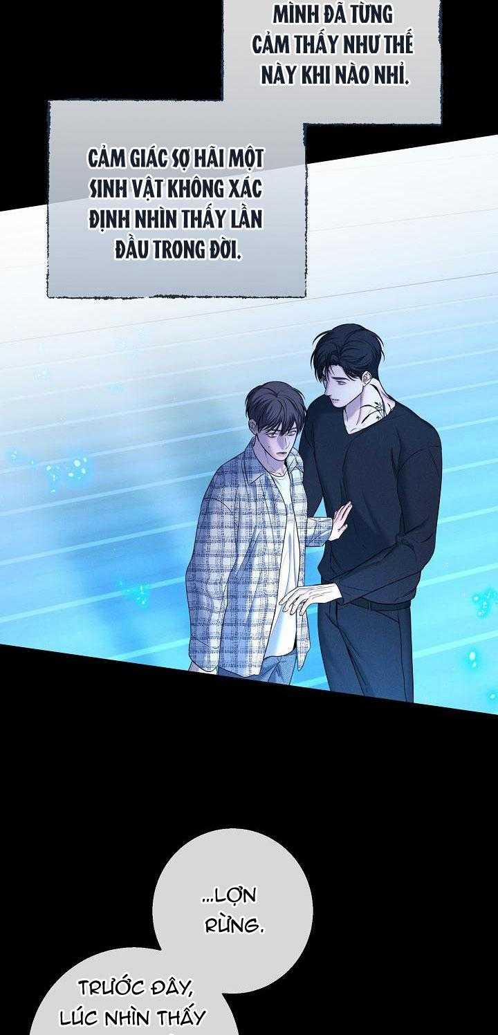 ĐÊM KHÔNG DẤU VẾT 31 trang 3