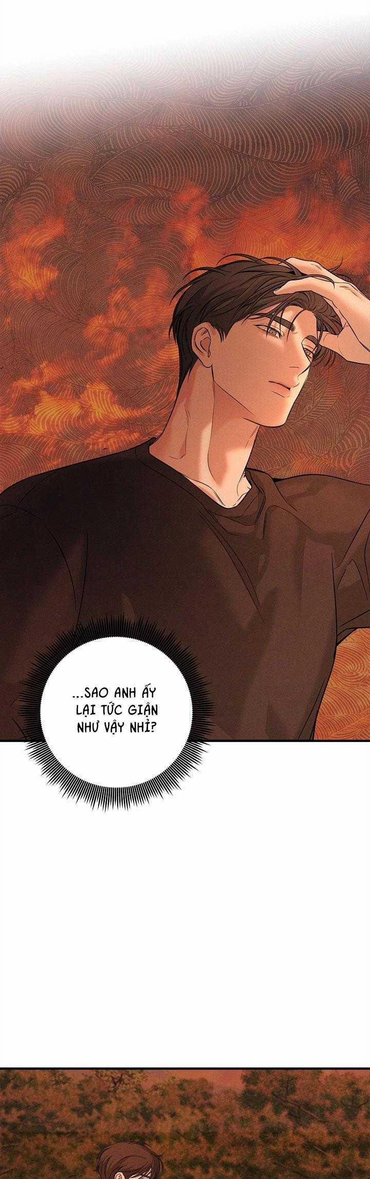 ĐÊM KHÔNG DẤU VẾT 38 trang 12