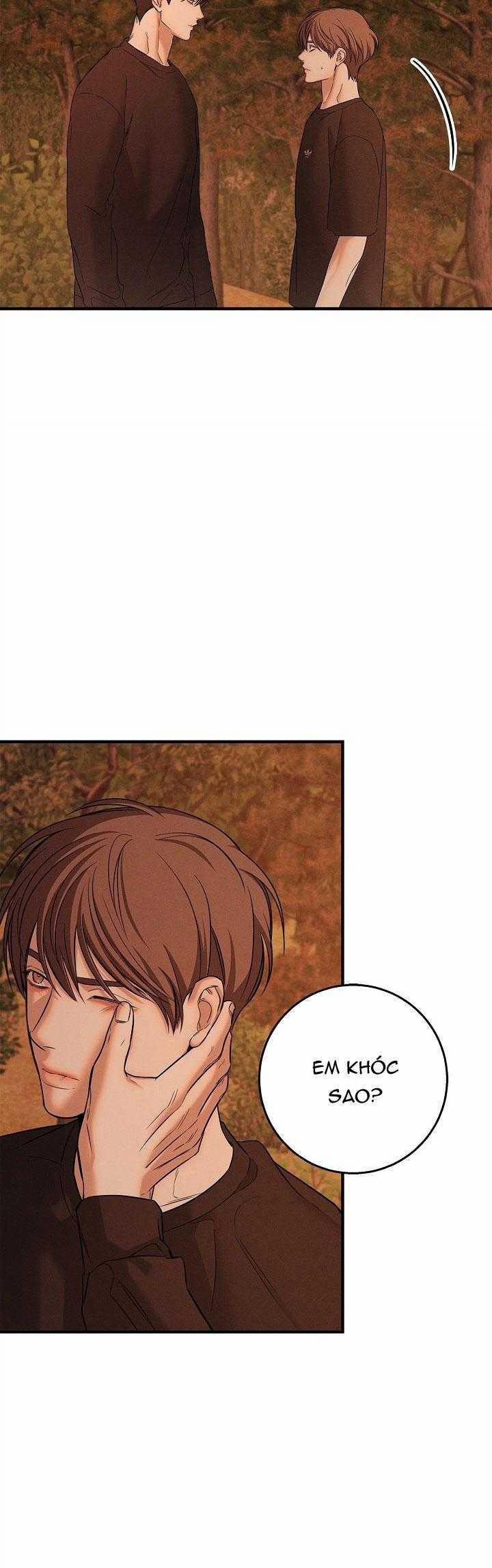 ĐÊM KHÔNG DẤU VẾT 38 trang 13