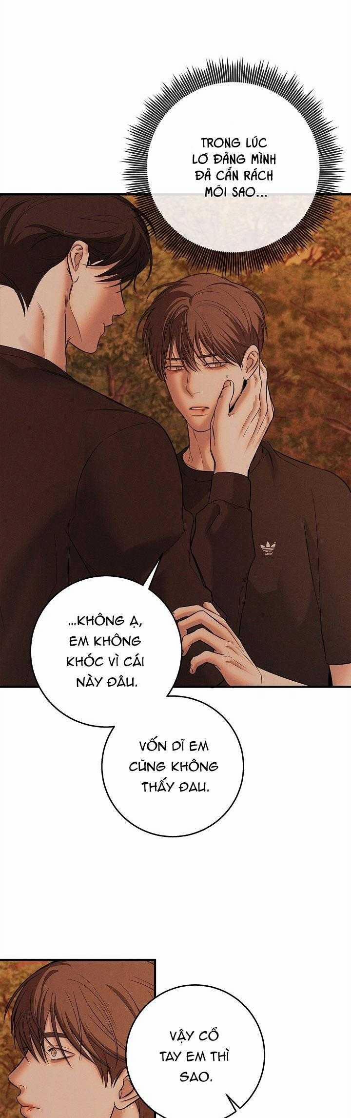 ĐÊM KHÔNG DẤU VẾT 38 trang 15