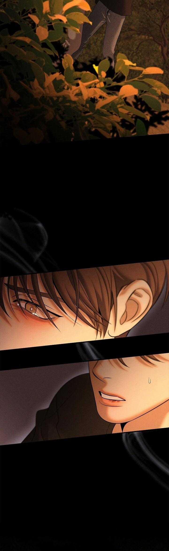 ĐÊM KHÔNG DẤU VẾT 38 trang 6