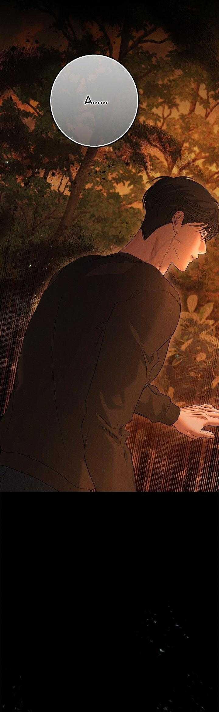 ĐÊM KHÔNG DẤU VẾT 38 trang 7