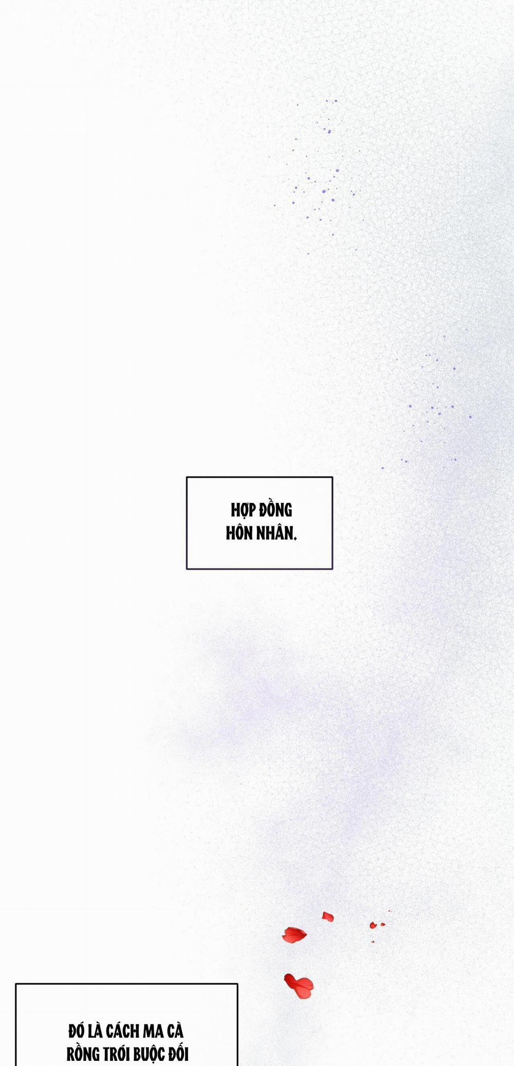 Đêm Ở London 12 trang 0