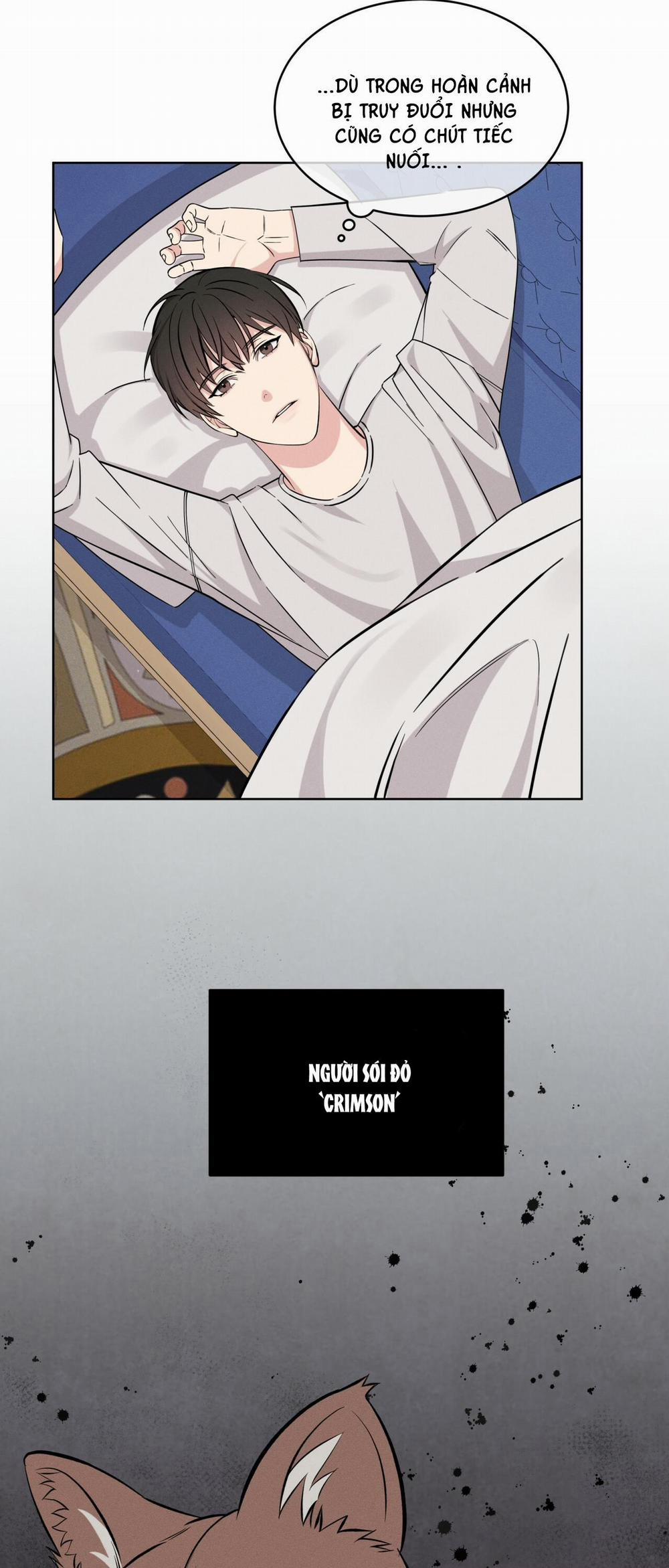 Đêm Ở London 4 trang 11