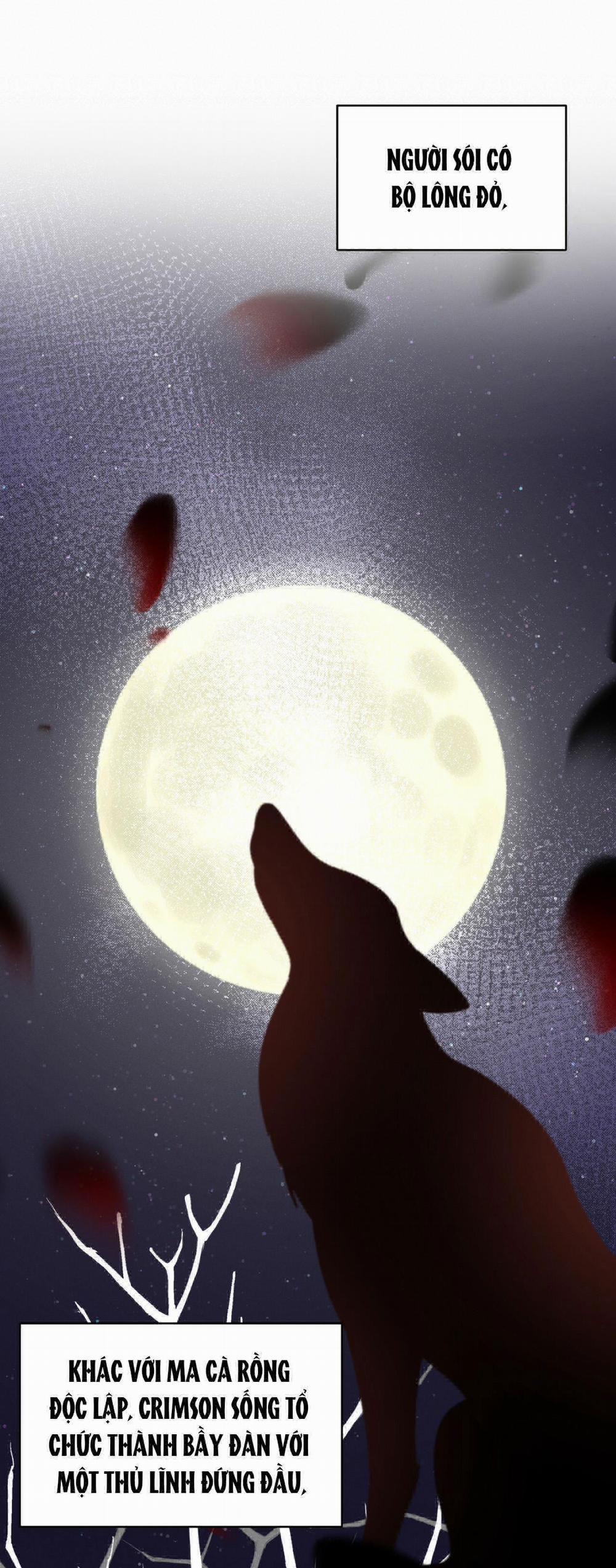 Đêm Ở London 7 trang 45