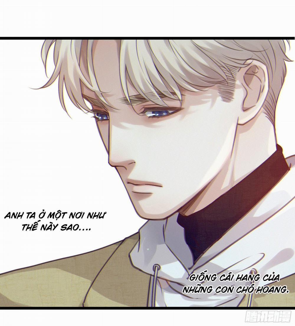 Đêm Sao 13 trang 17