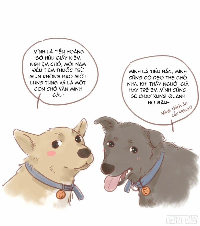 Đêm Sao 2 trang 71