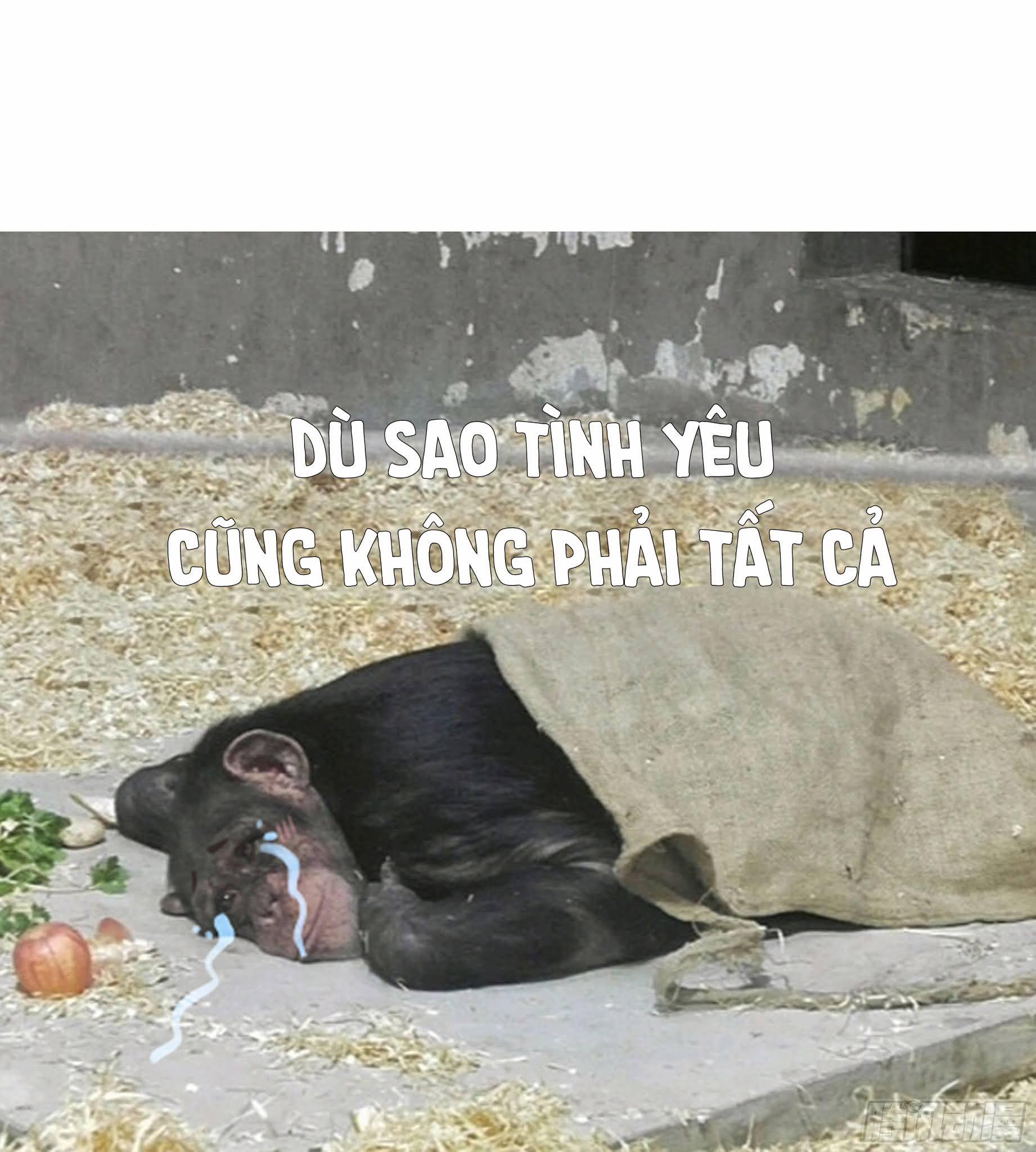 Đêm Sao 20 trang 29