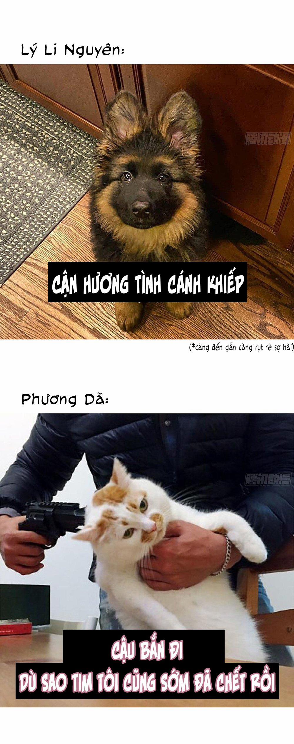 Đêm Sao 21 trang 23