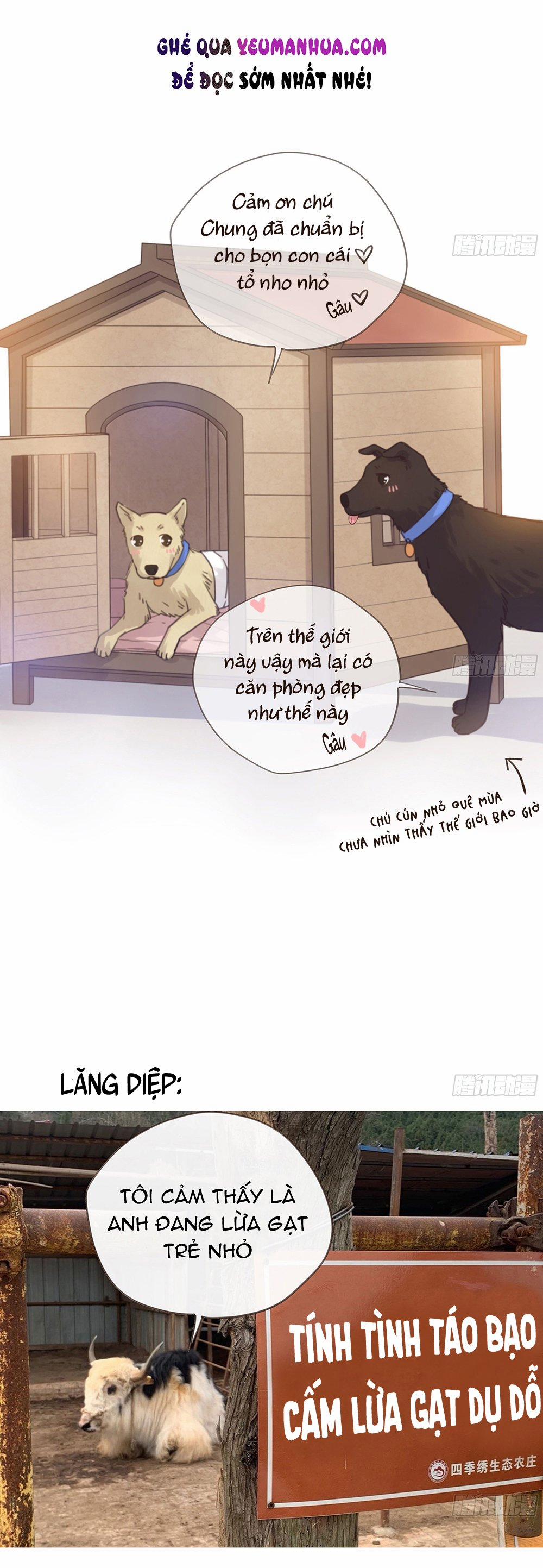 Đêm Sao 22 trang 15