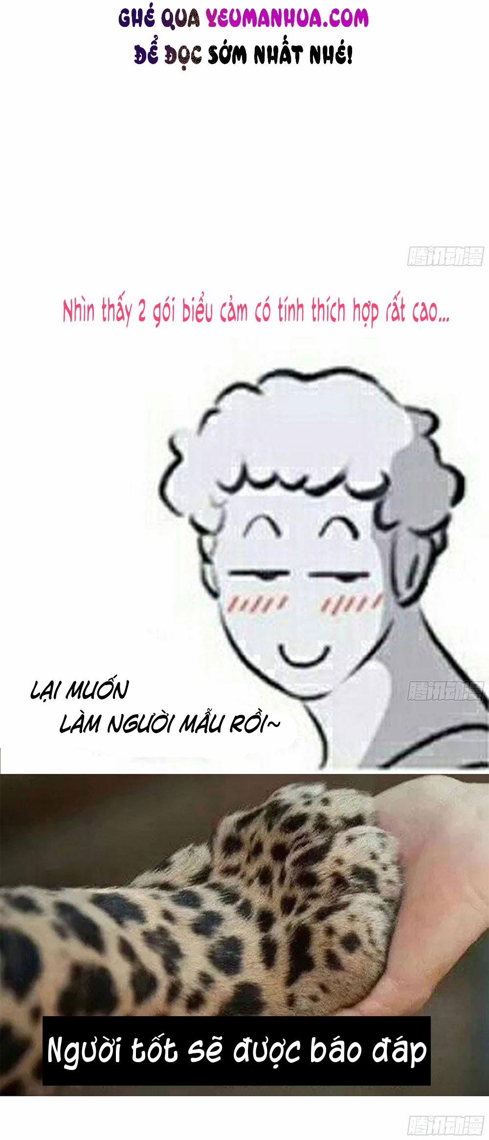 Đêm Sao 29 trang 16