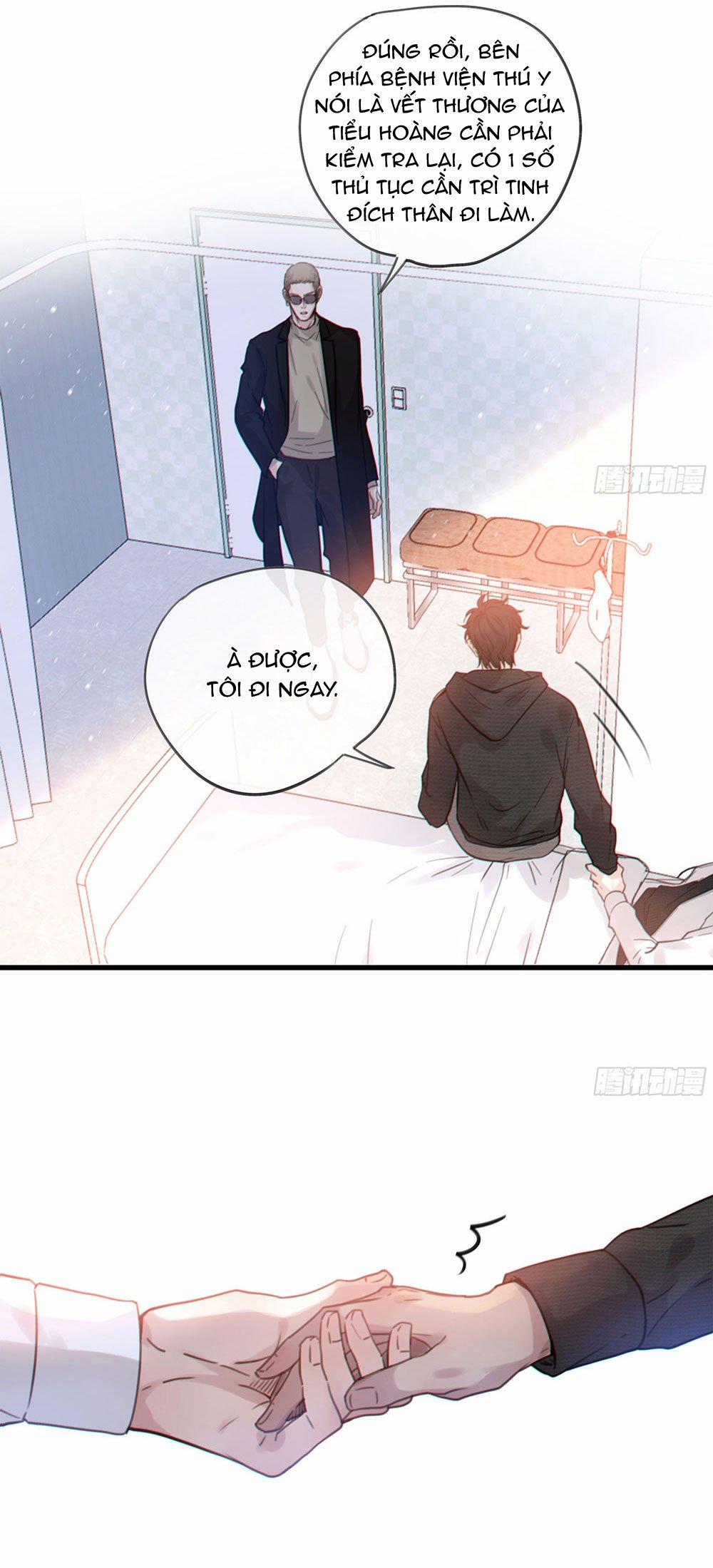 Đêm Sao 30 trang 12